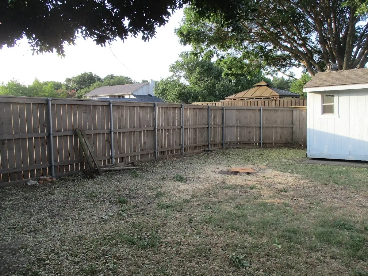 Cleared yard after professional tree removal in Newport Center